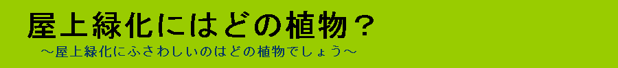 屋上緑化で選ばれる植物について詳しく丁寧に解説するサイト『屋上緑化にはどの植物?』